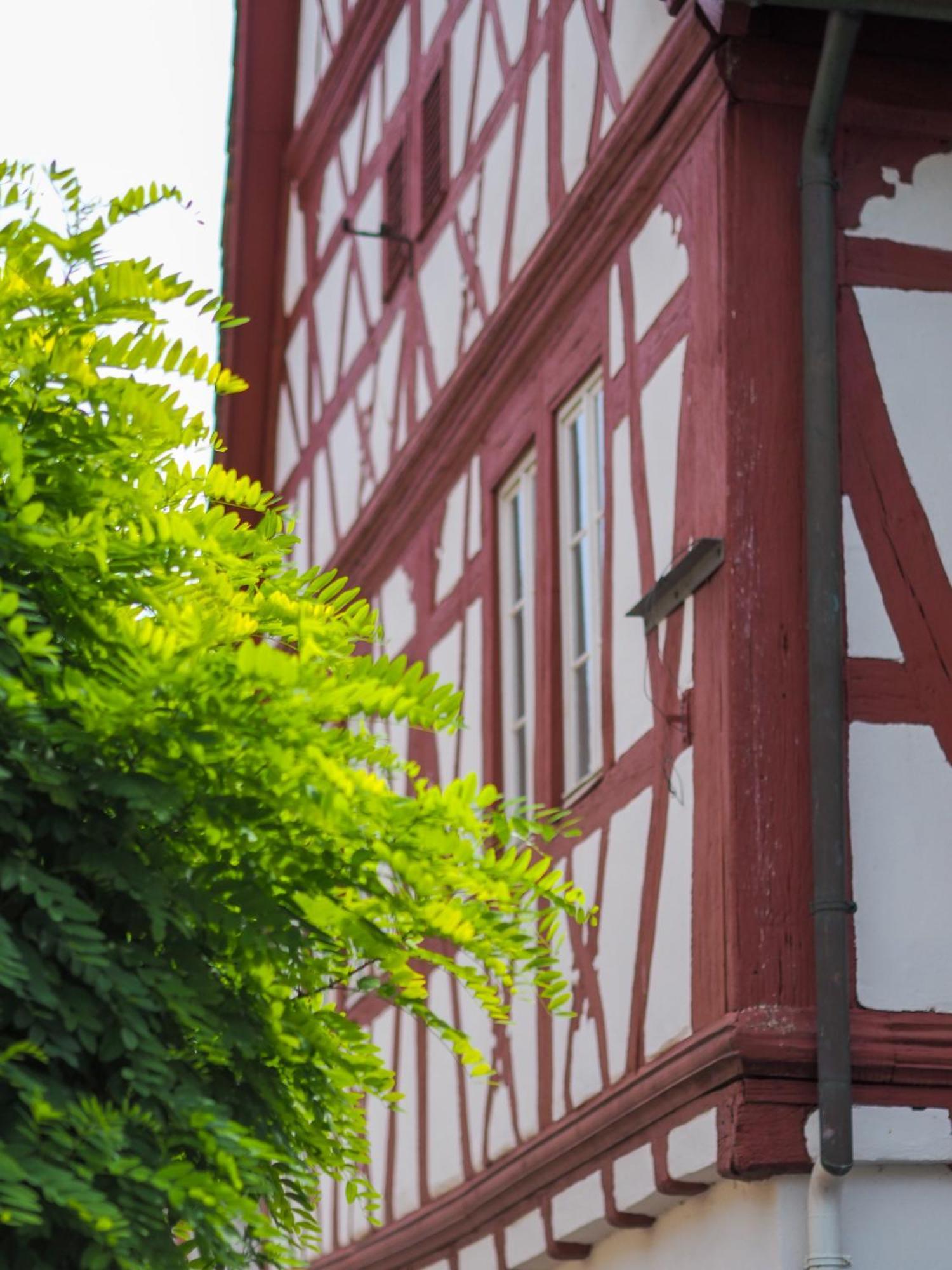 Weinstrasse No 8 "Einfach-Gut-Uebernachten" Leinsweiler Ngoại thất bức ảnh